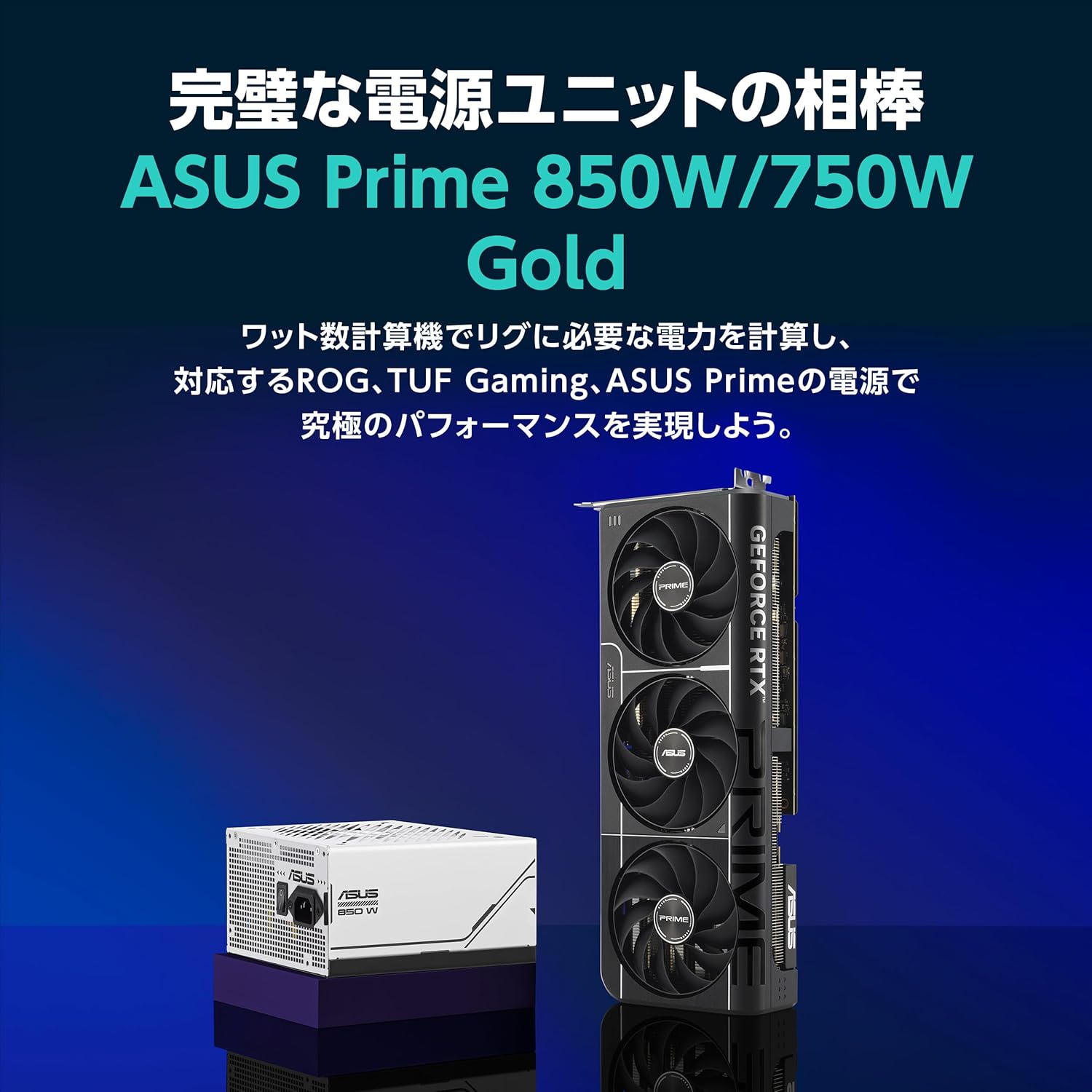 サムネイル6
