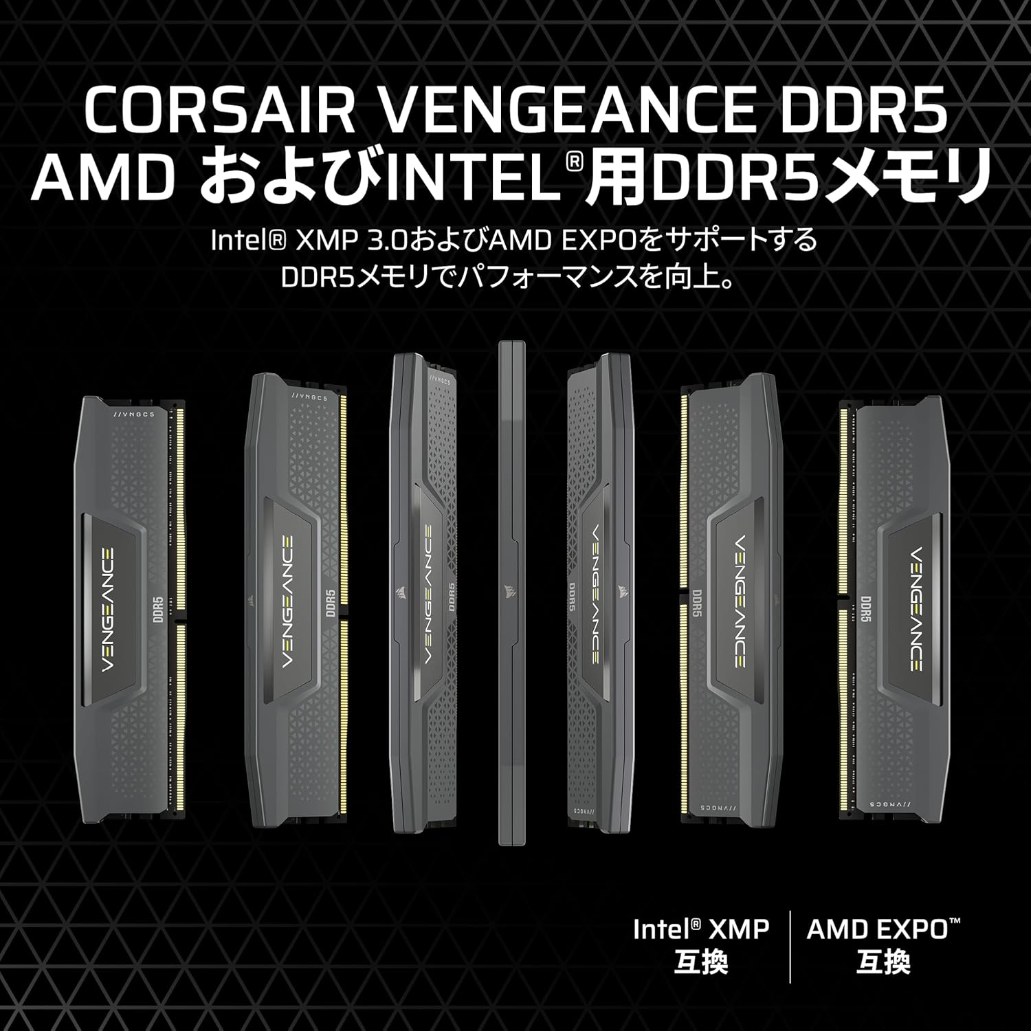サムネイル2
