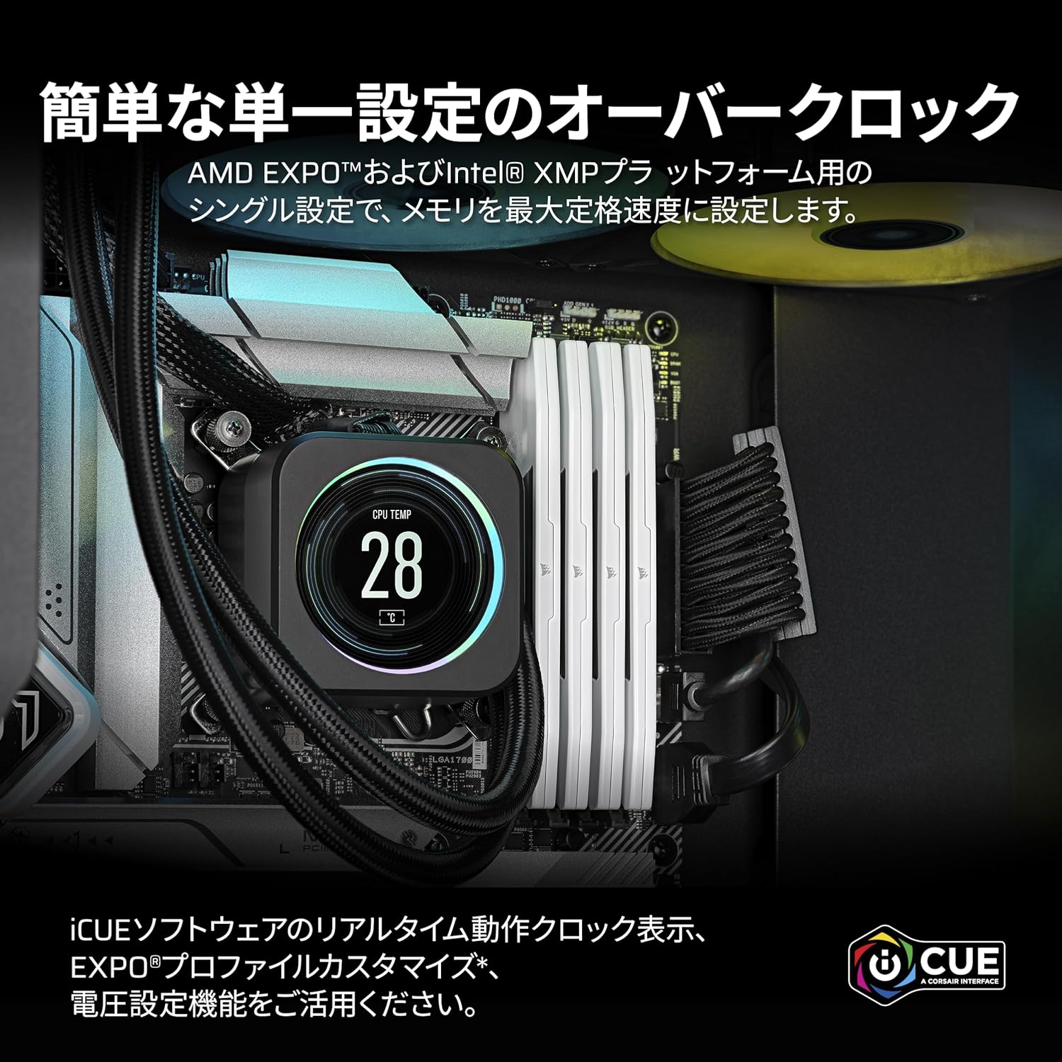 サムネイル4