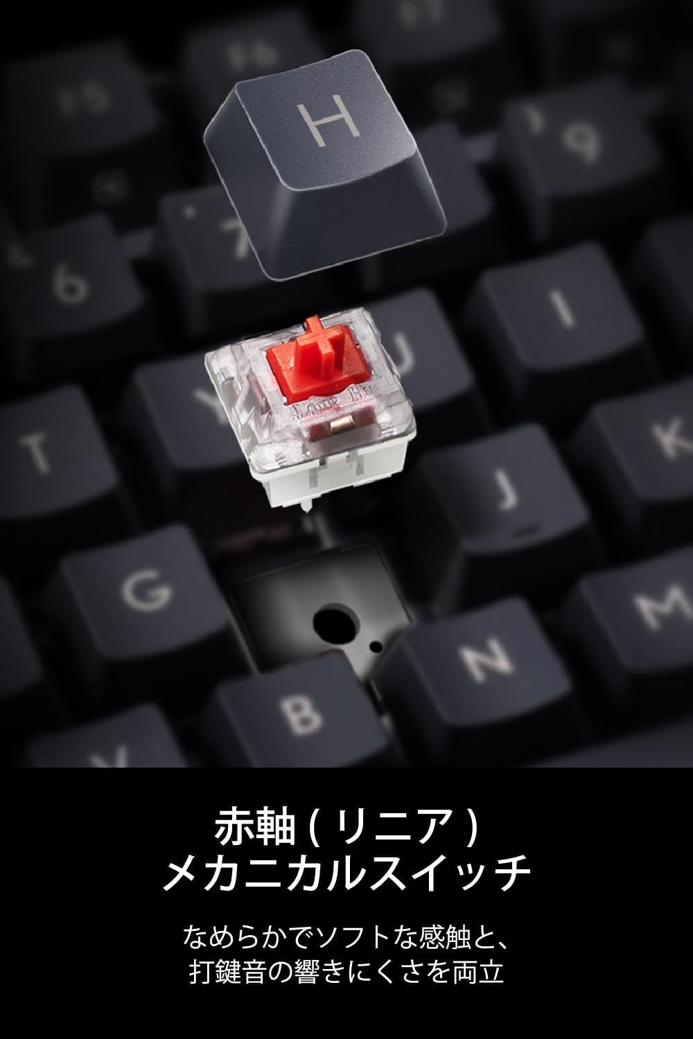 サムネイル6
