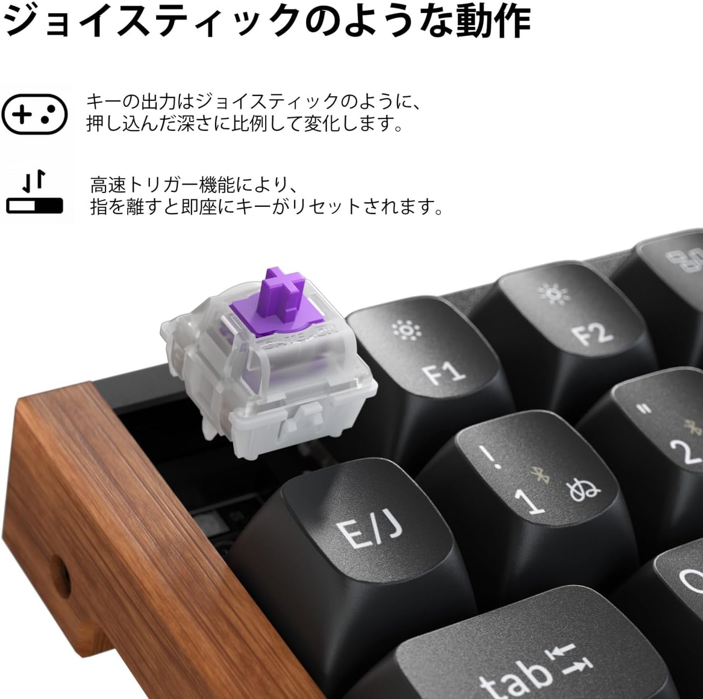 サムネイル5