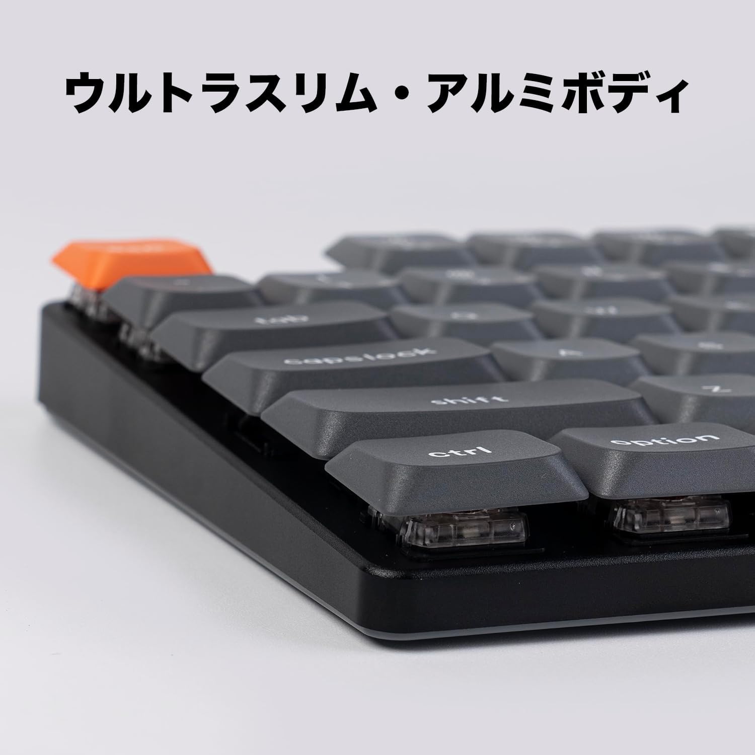サムネイル4