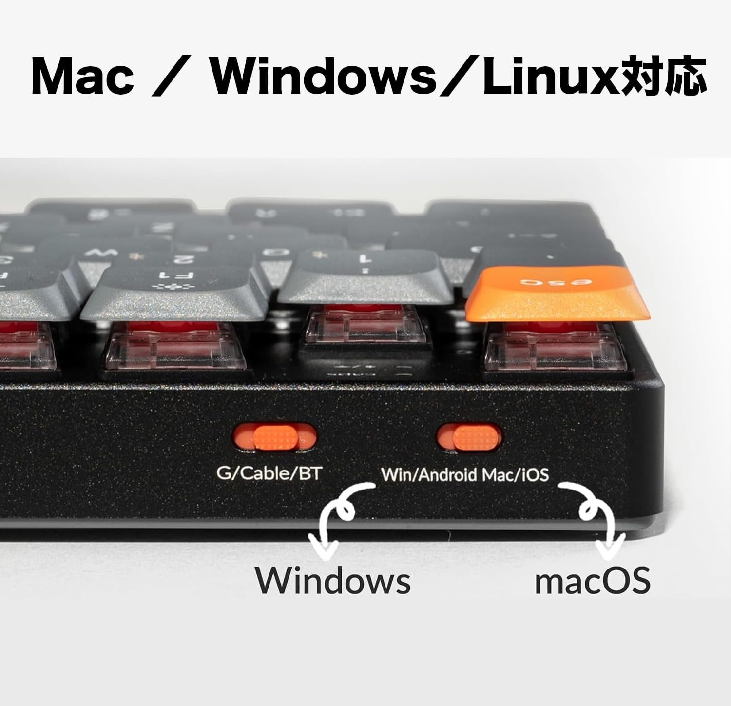 サムネイル5