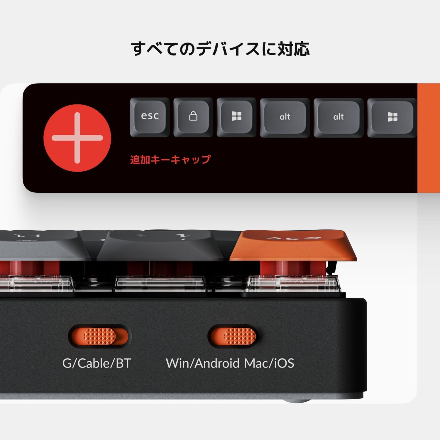 サムネイル2