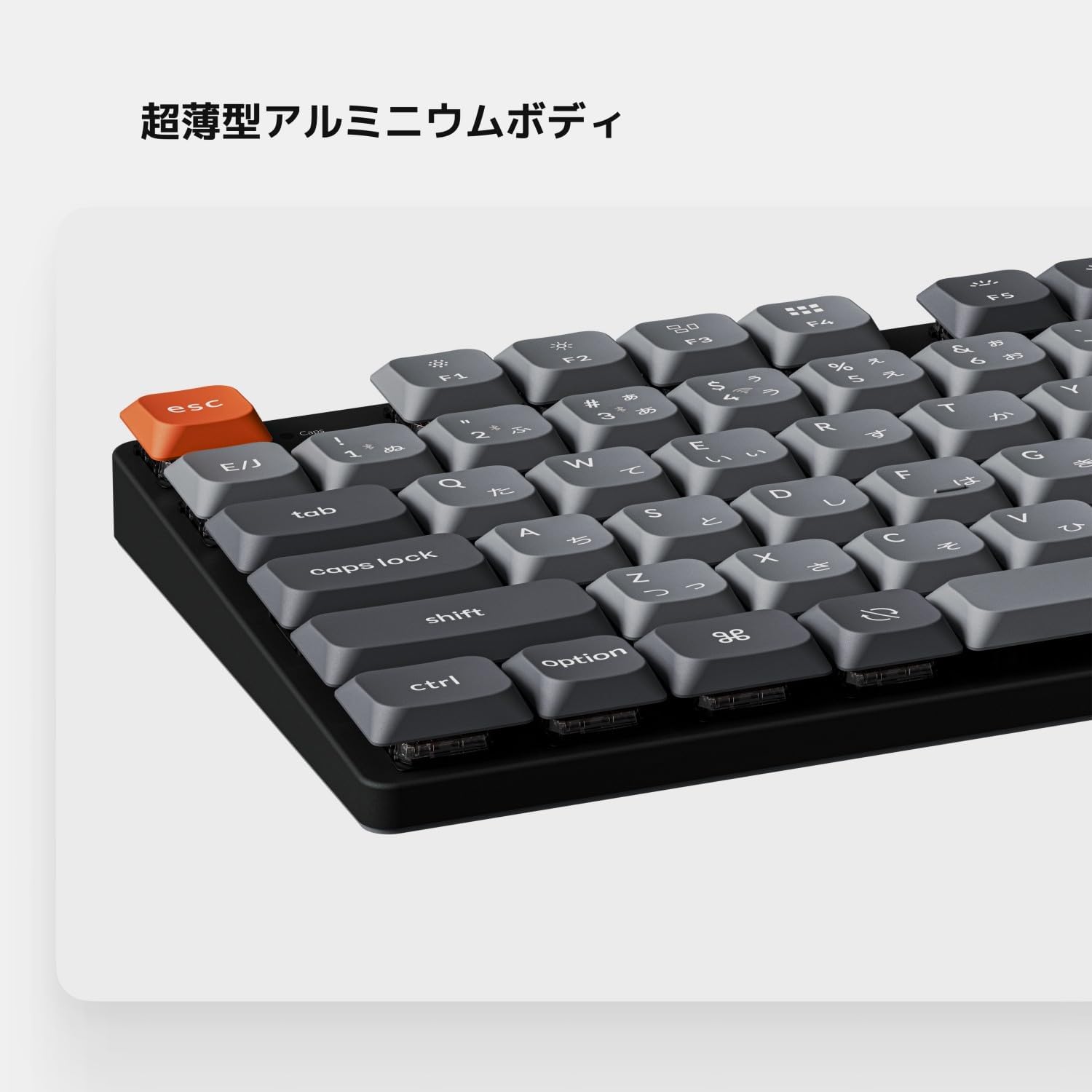 サムネイル4