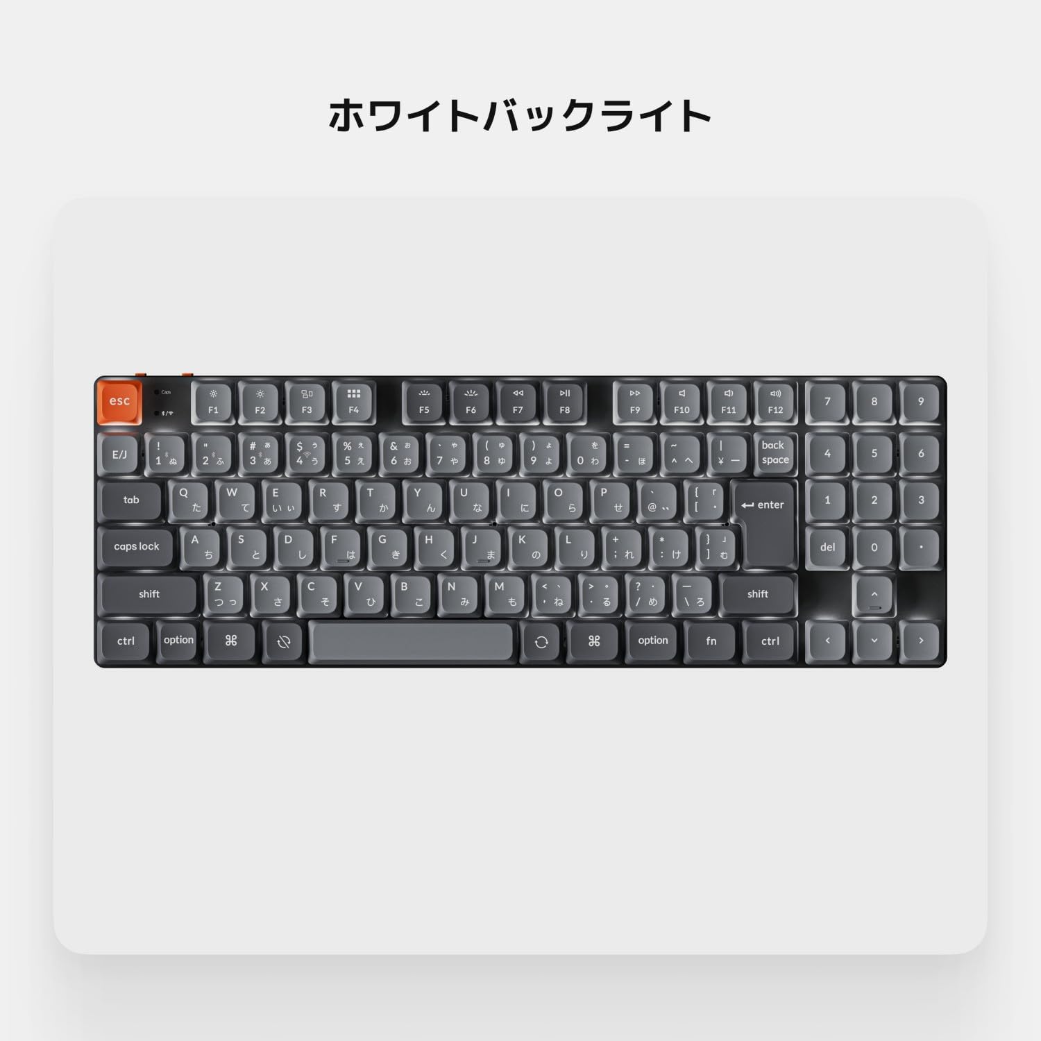 サムネイル6