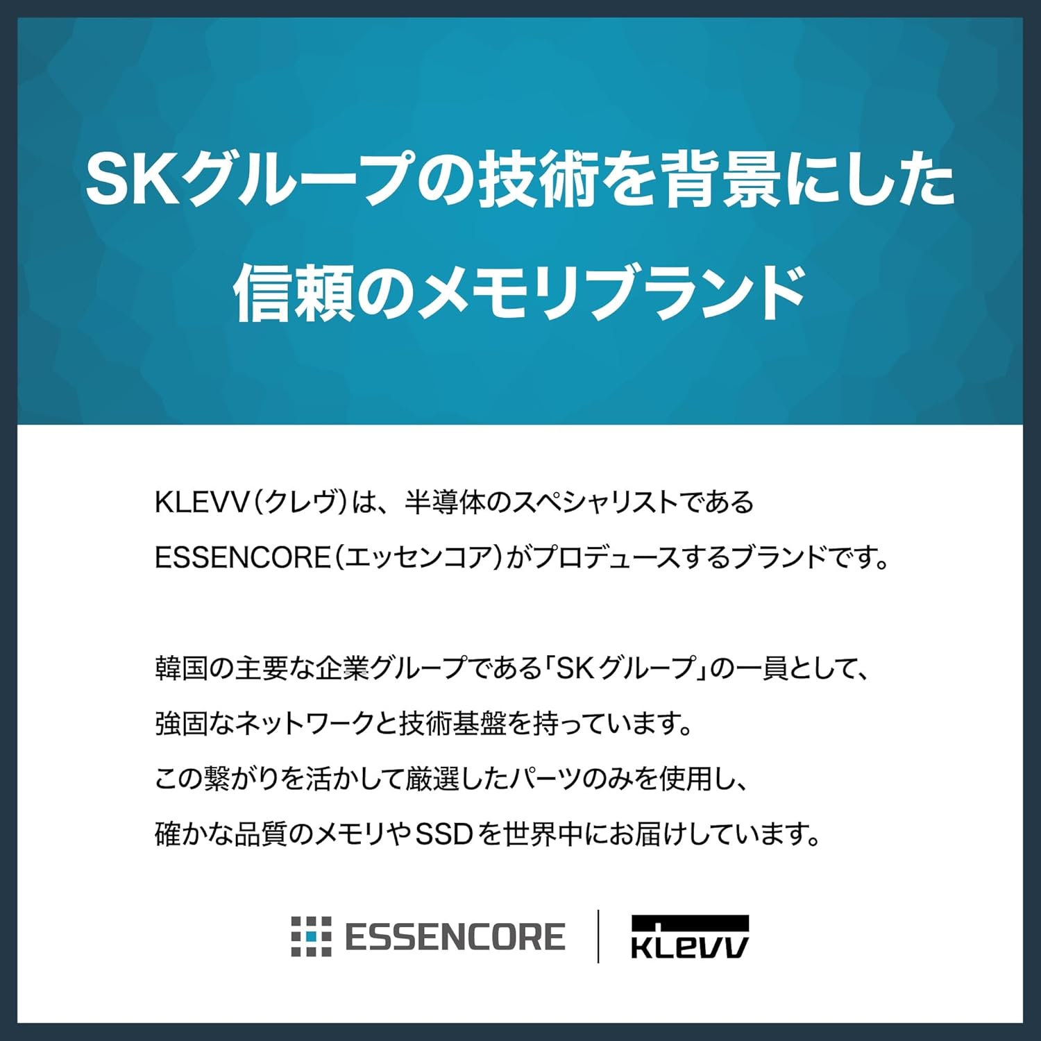サムネイル8
