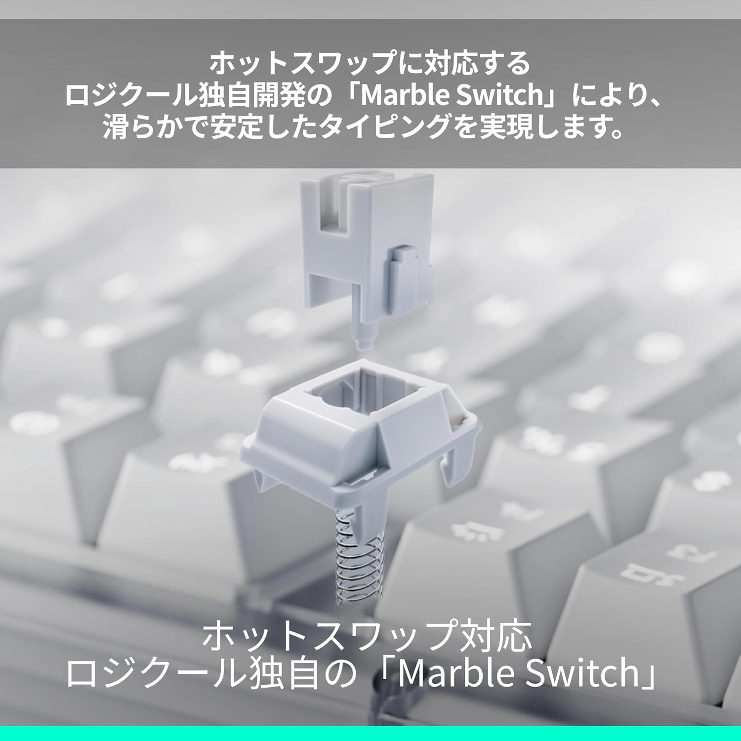 サムネイル3
