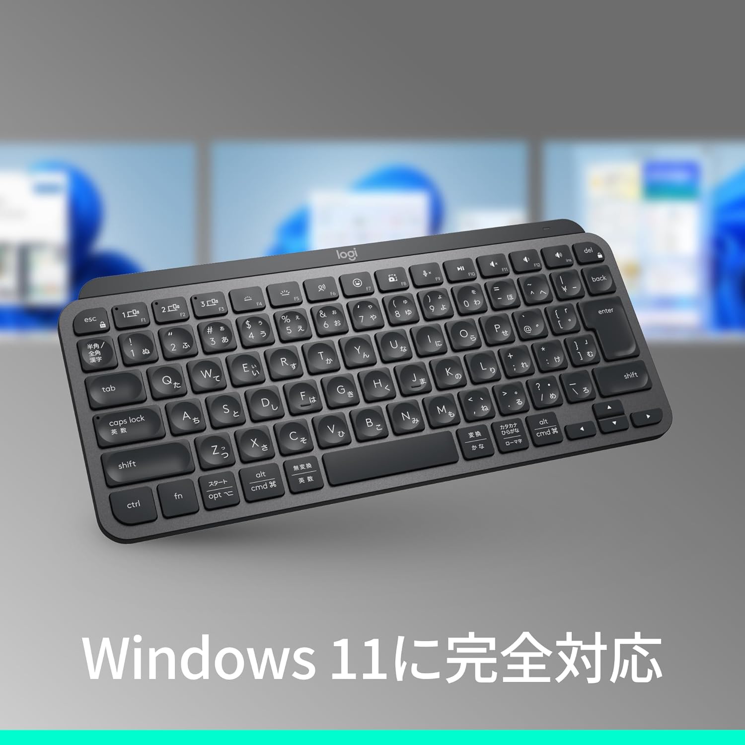 サムネイル3