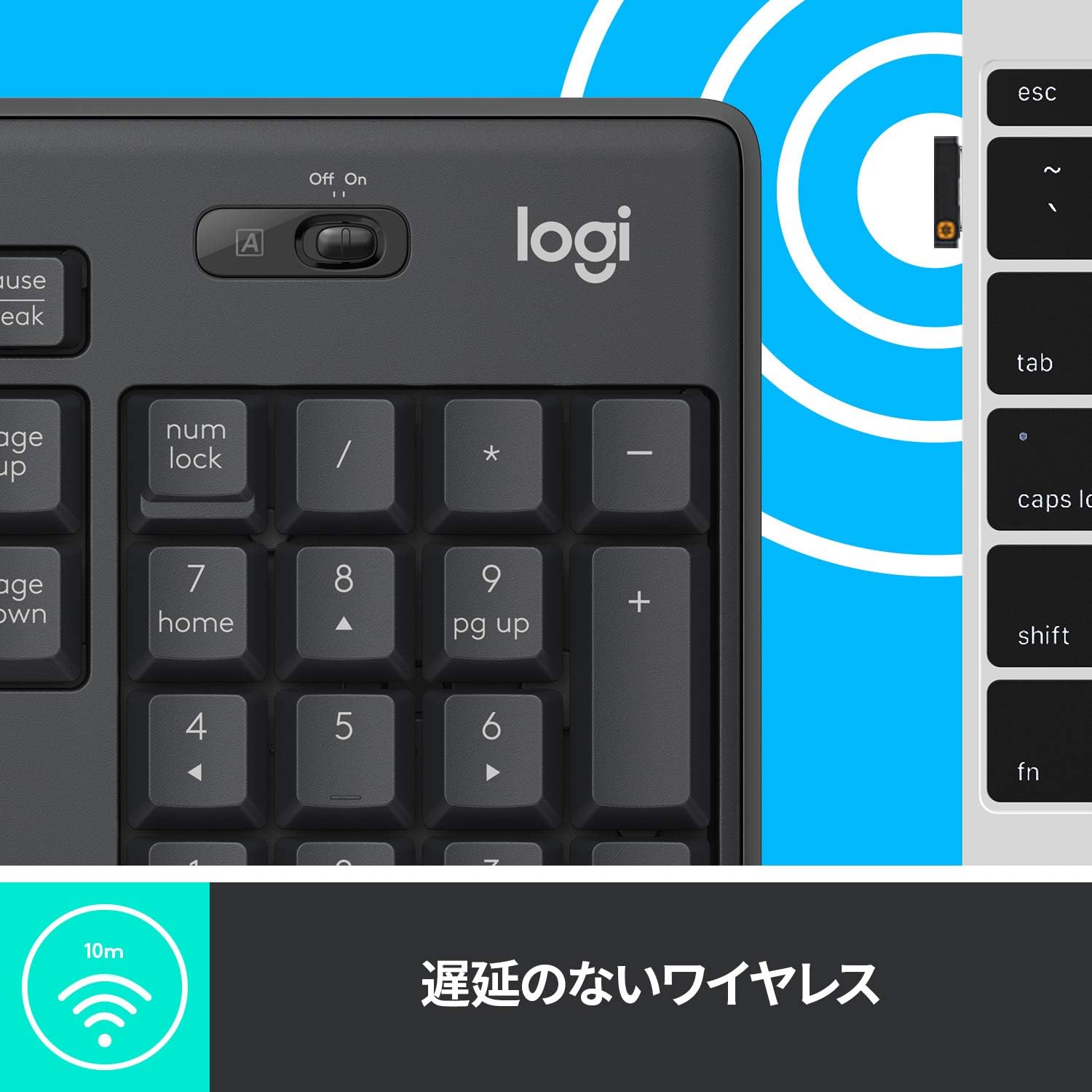 サムネイル4