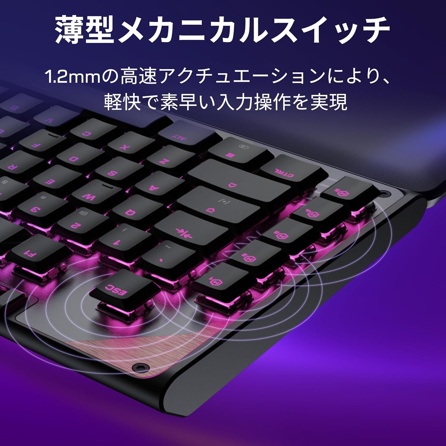サムネイル4