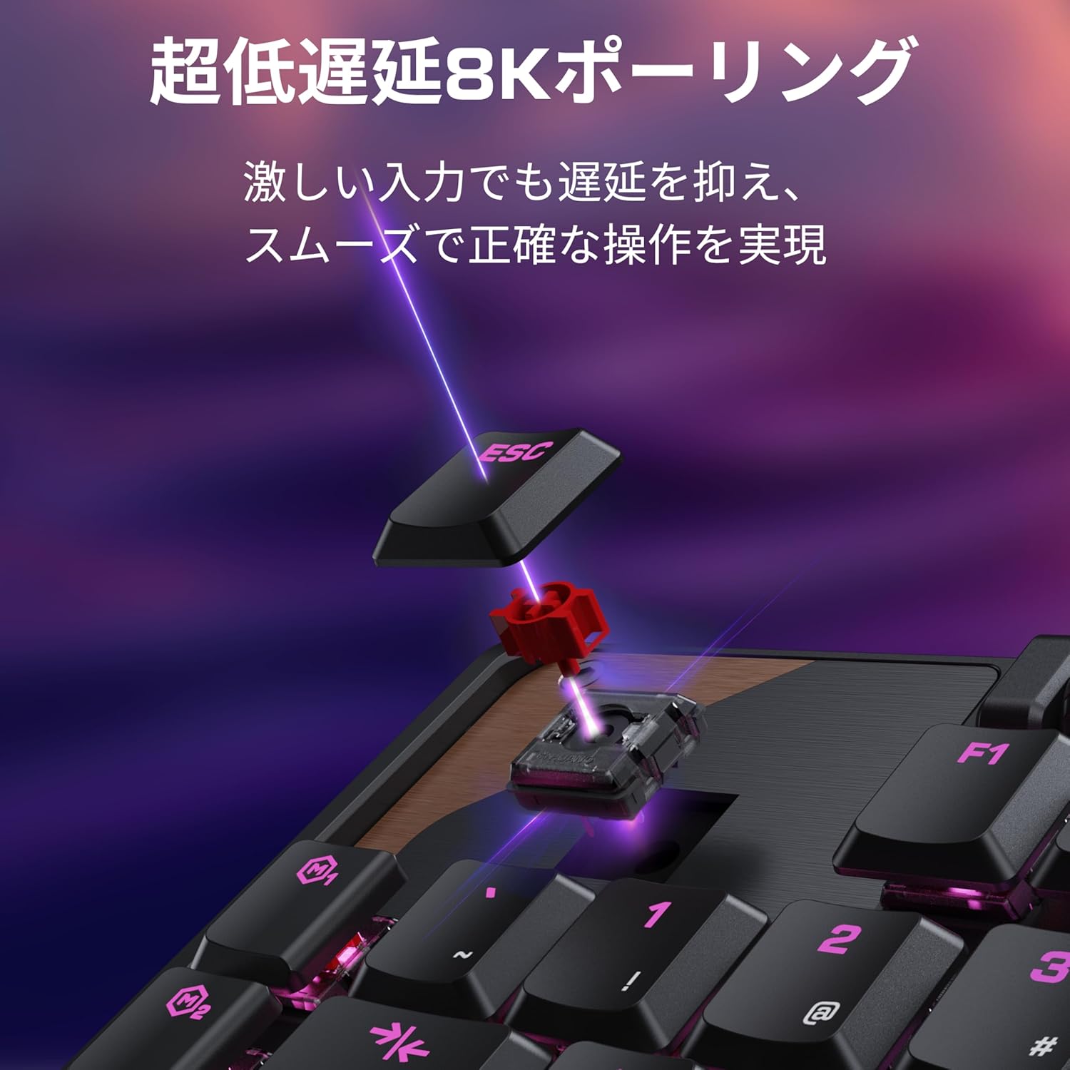 サムネイル5